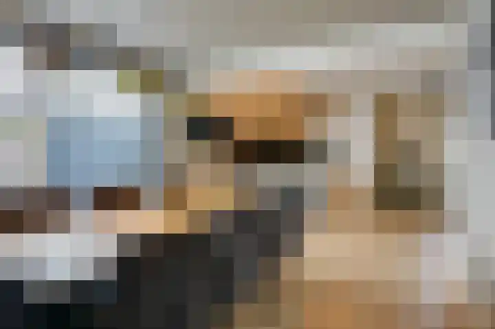 Wilgenlaan 142 Duiven thumbnail 18