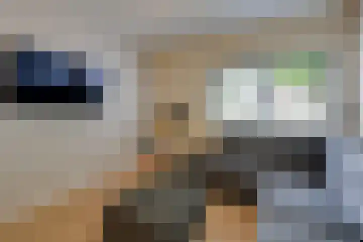 Wilgenlaan 142 Duiven thumbnail 31