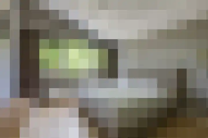 Wilgenlaan 142 Duiven thumbnail 4