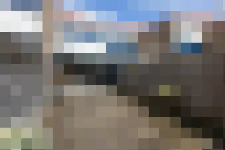 Wilgenlaan 142 Duiven thumbnail 48