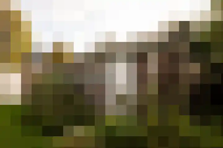 Wilgenlaan 142 Zwanenburg thumbnail 21