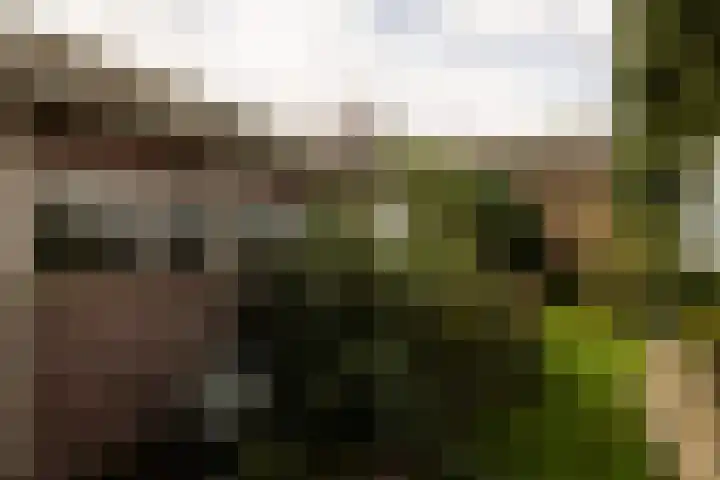 Wilgenlaan 142 Zwanenburg thumbnail 22