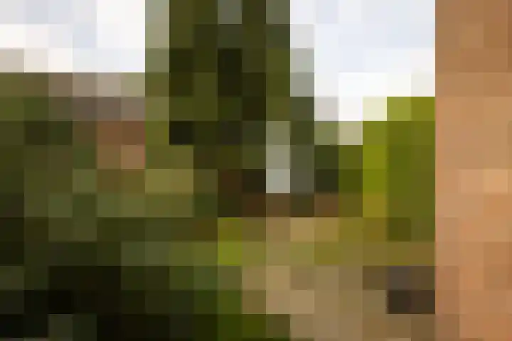 Wilgenlaan 142 Zwanenburg thumbnail 23