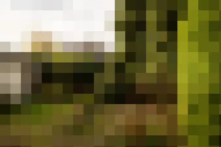 Wilgenlaan 142 Zwanenburg thumbnail 24