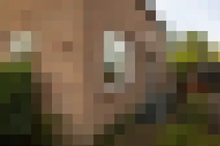 Wilgenlaan 142 Zwanenburg thumbnail 4