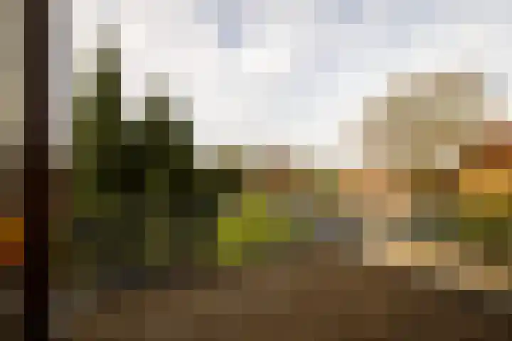 Wilgenlaan 142 Zwanenburg thumbnail 40