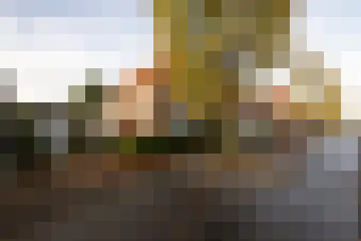 Wilgenlaan 142 Zwanenburg thumbnail 43