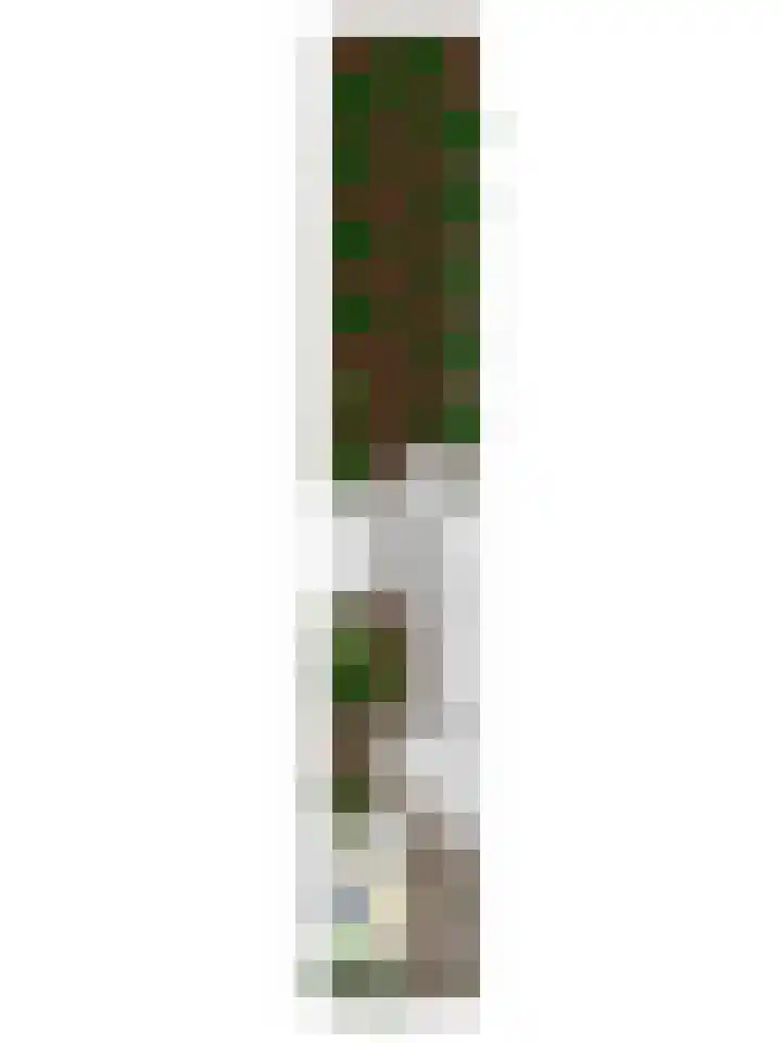 Wilgenlaan 15 Aalsmeer thumbnail 31