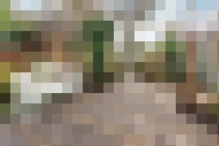 Wilgenlaan 15 Aalsmeer thumbnail 5