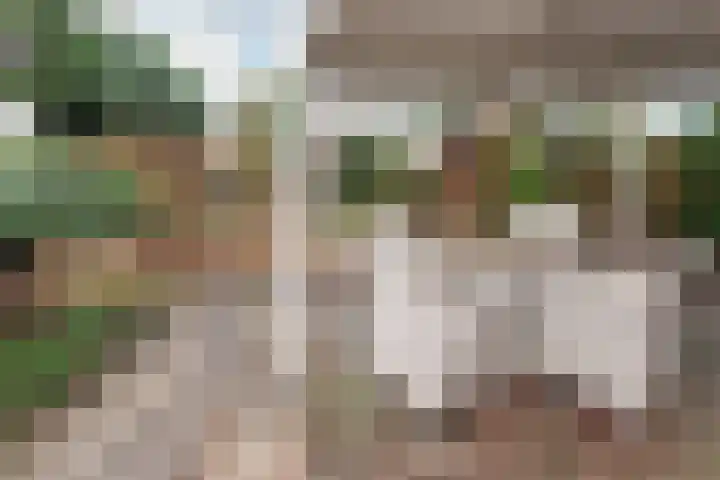 Wilgenlaan 15 Aalsmeer thumbnail 6