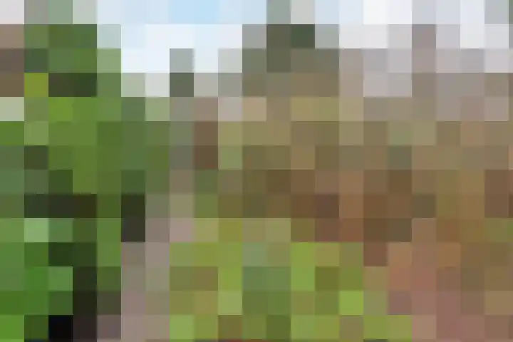 Wilgenlaan 15 Aalsmeer thumbnail 7