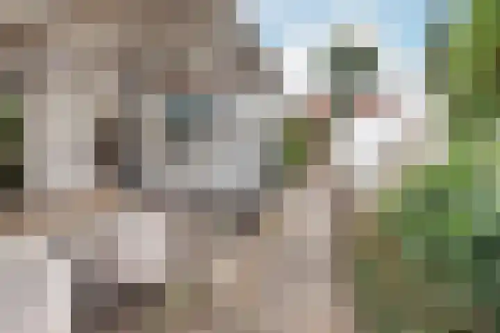 Wilgenlaan 15 Aalsmeer thumbnail 8