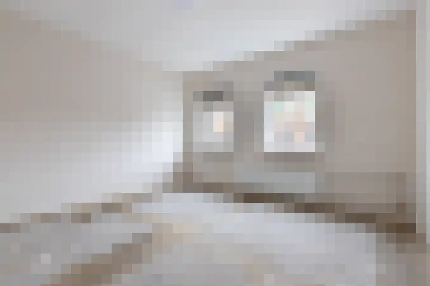 Wilgenlaan 15 Leimuiden thumbnail 20