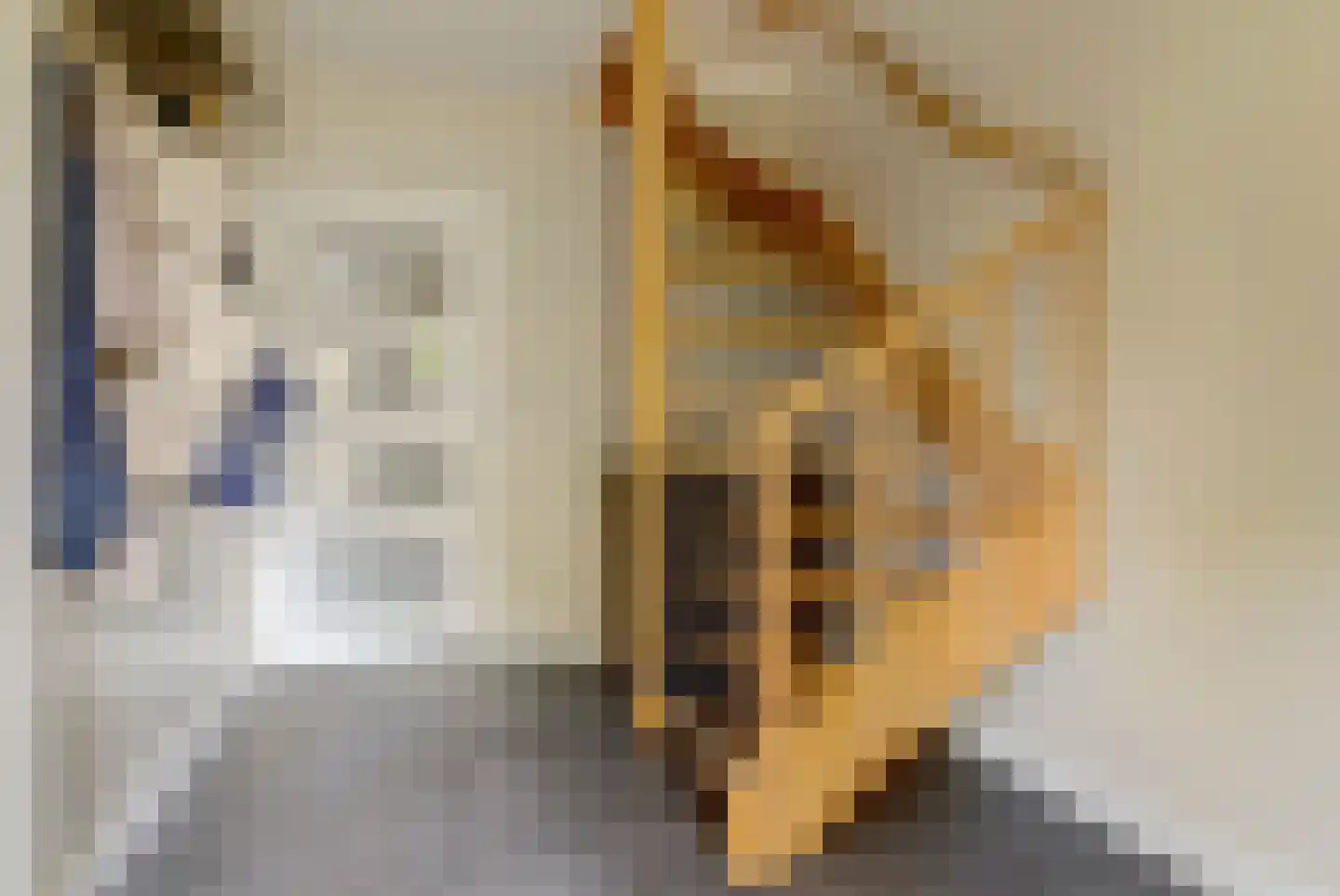 Wilgenlaan 15 Renswoude thumbnail 10