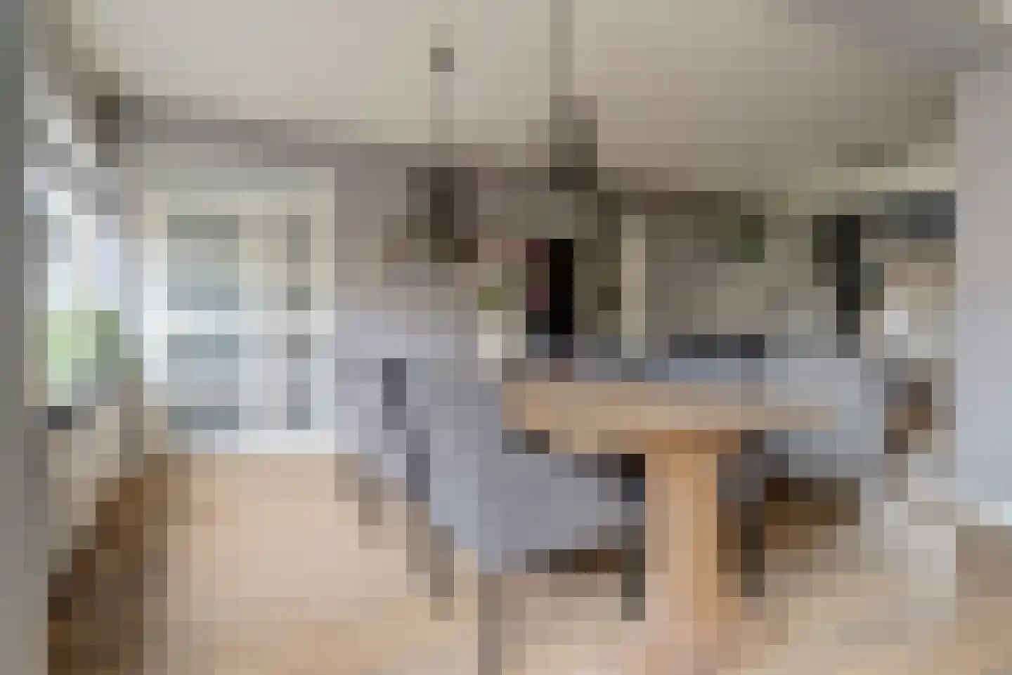 Wilgenlaan 15 Renswoude thumbnail 15