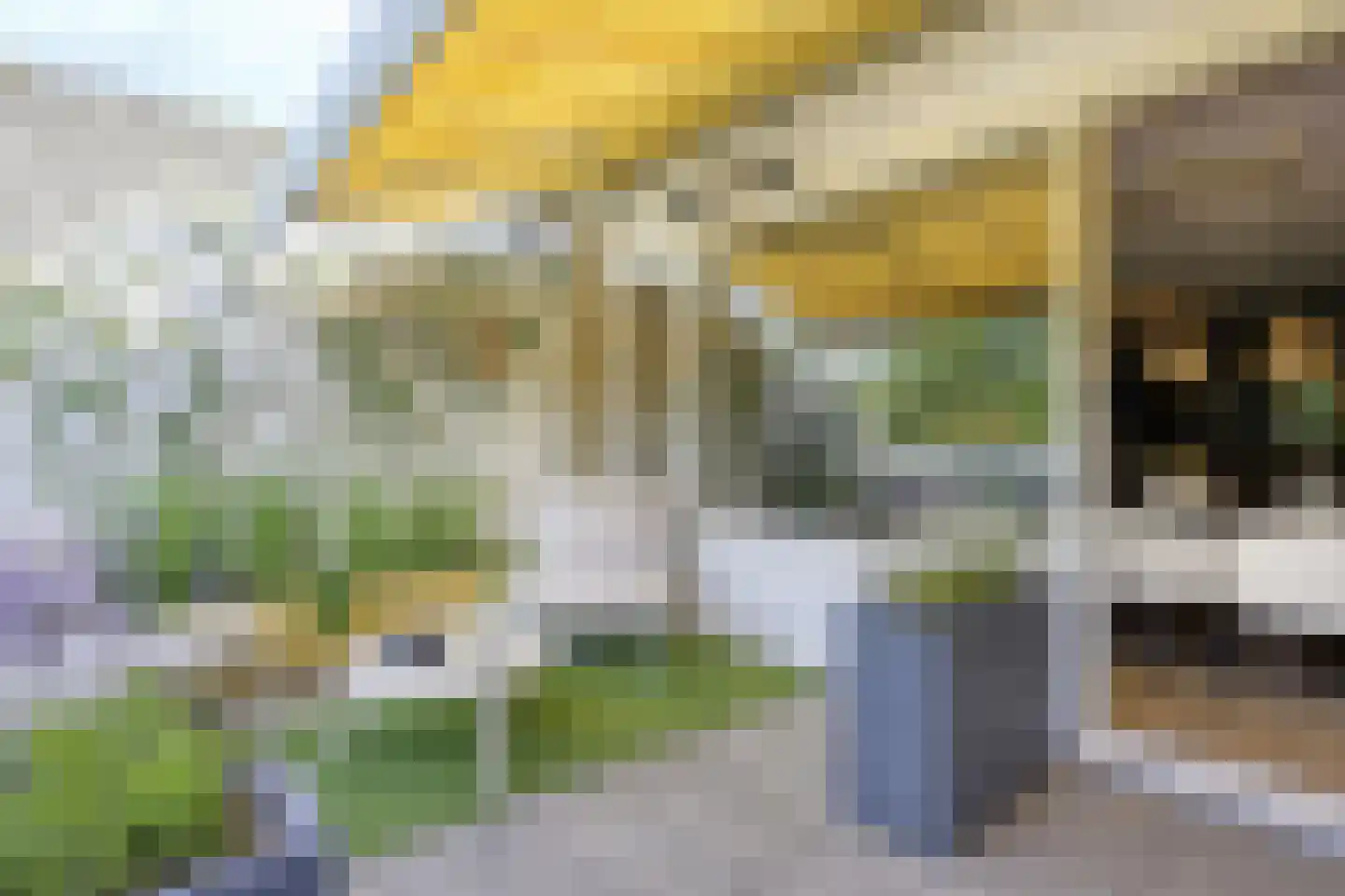 Wilgenlaan 16 Ede thumbnail 18