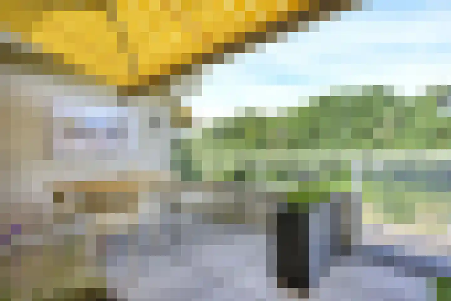 Wilgenlaan 16 Ede thumbnail 19