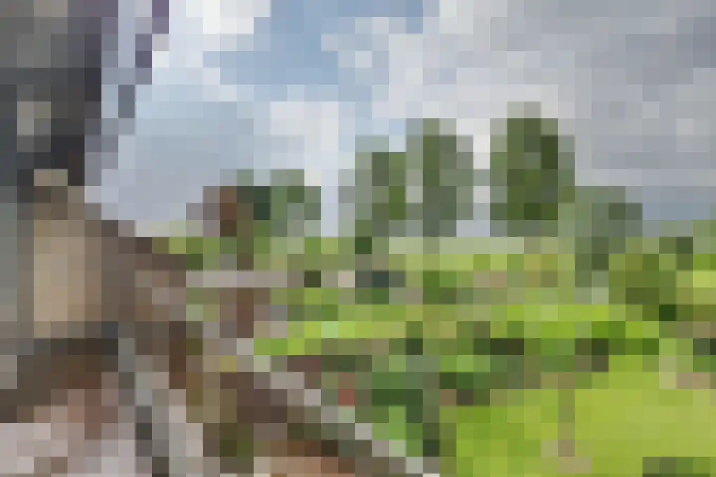 Wilgenlaan 16 Oud-Alblas thumbnail 23