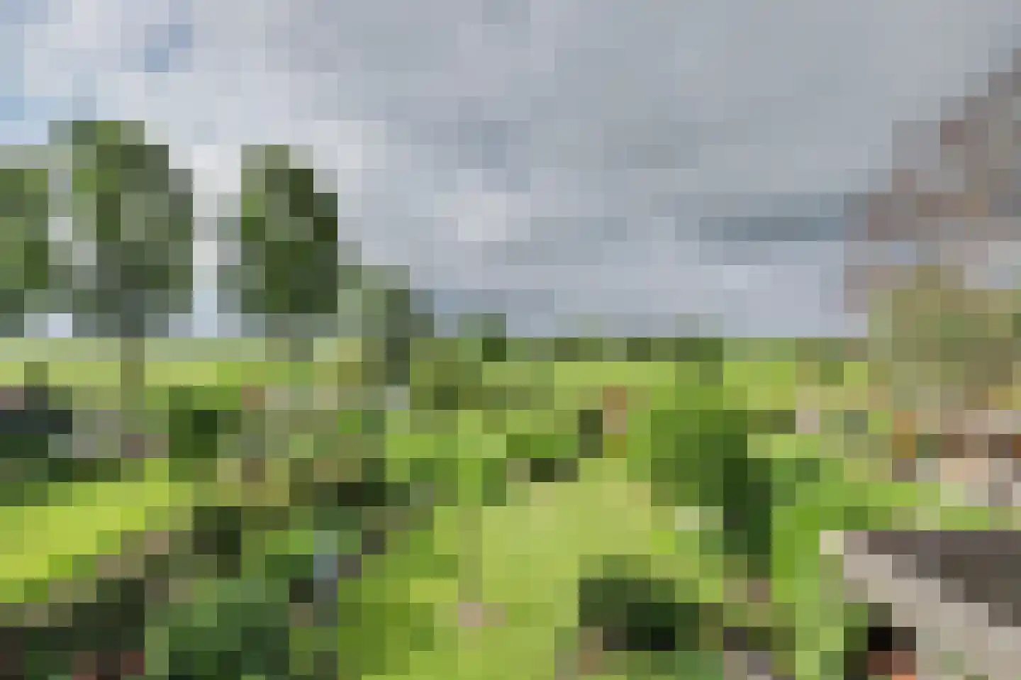 Wilgenlaan 16 Oud-Alblas thumbnail 24