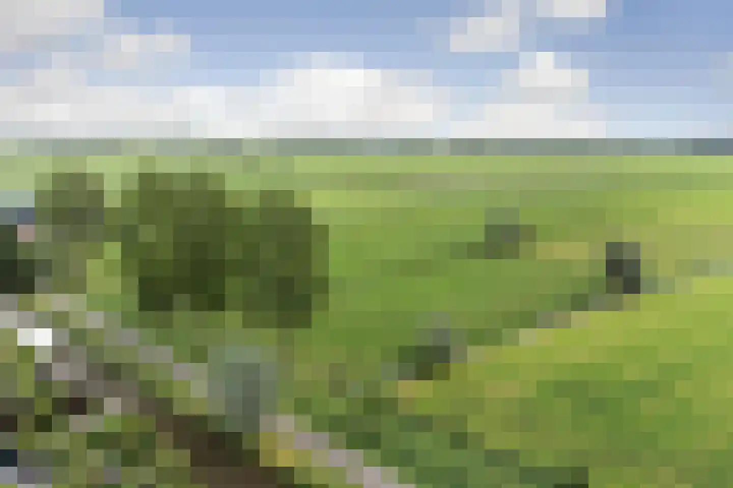 Wilgenlaan 16 Oud-Alblas thumbnail 57