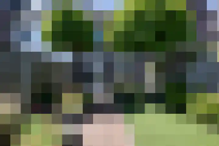 Wilgenlaan 19 Dirksland thumbnail 23