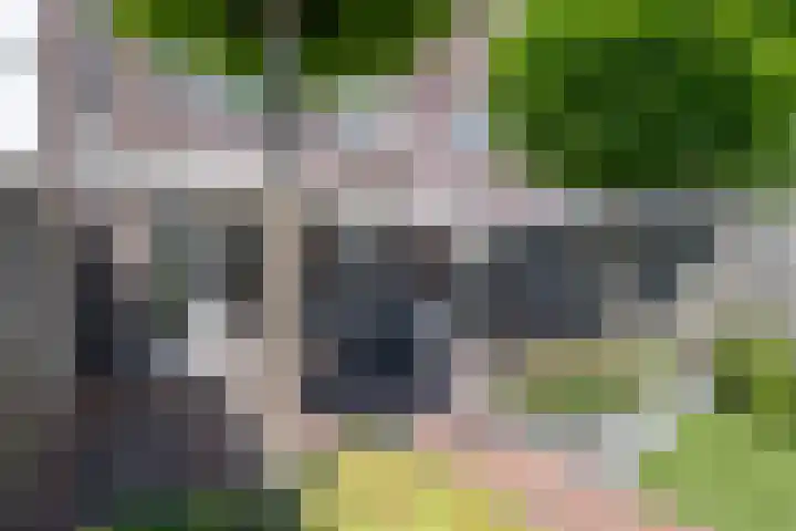 Wilgenlaan 19 Dirksland thumbnail 25