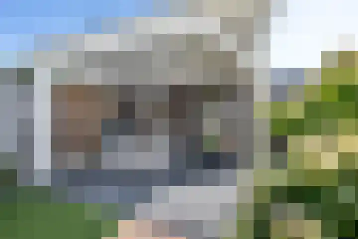 Wilgenlaan 19 Dirksland thumbnail 27