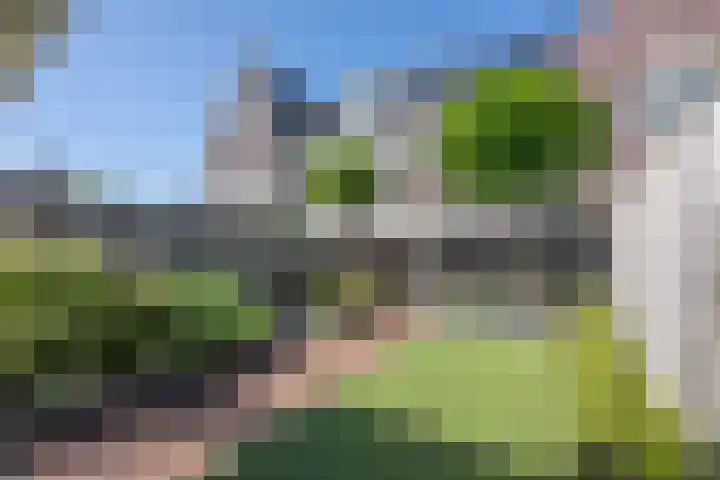 Wilgenlaan 19 Dirksland thumbnail 29