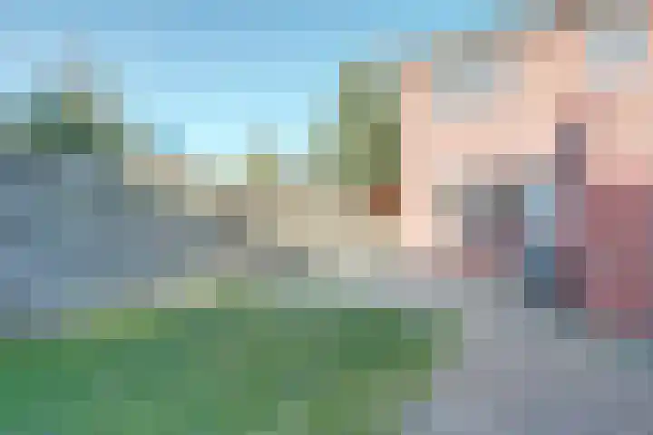 Wilgenlaan 19 Emmer-Compascuum thumbnail 32
