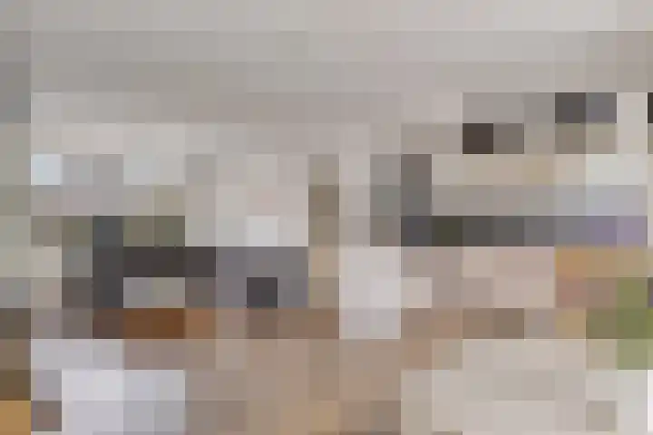 Wilgenlaan 20 Dodewaard thumbnail 12