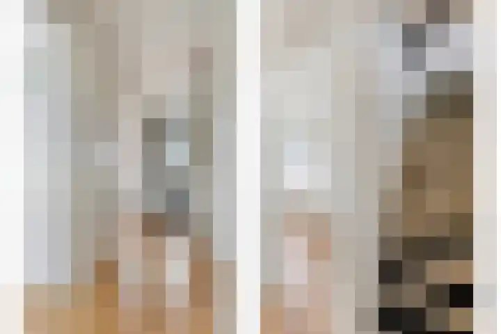 Wilgenlaan 20 Dodewaard thumbnail 24