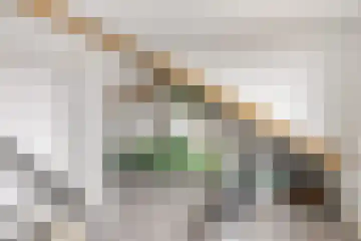 Wilgenlaan 20 Dodewaard thumbnail 27