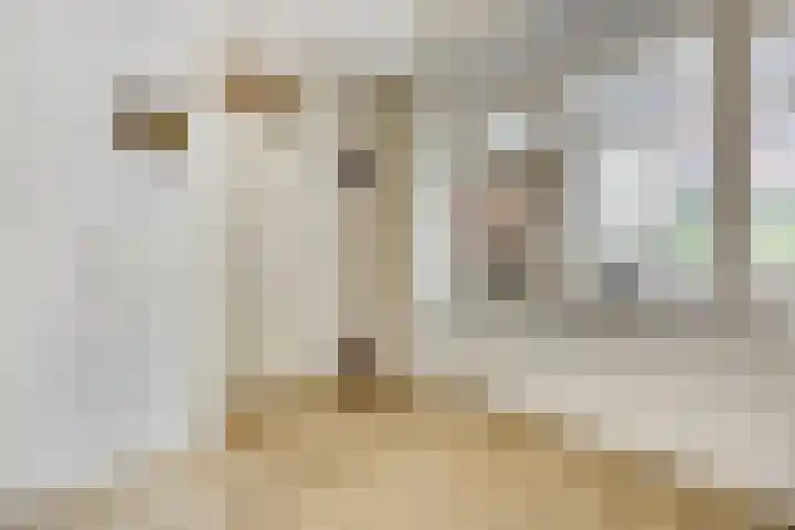 Wilgenlaan 20 Ede thumbnail 17