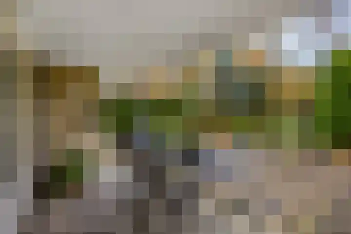 Wilgenlaan 20 Ede thumbnail 23