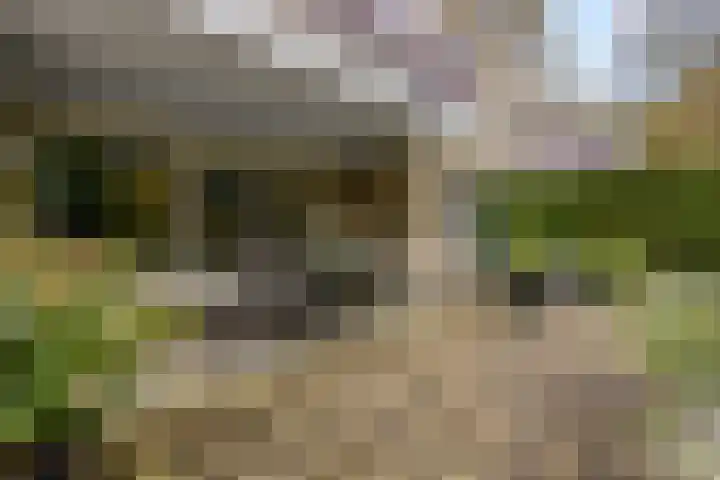 Wilgenlaan 20 Ede thumbnail 24