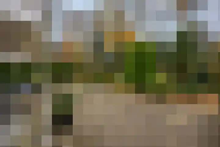 Wilgenlaan 20 Ede thumbnail 25