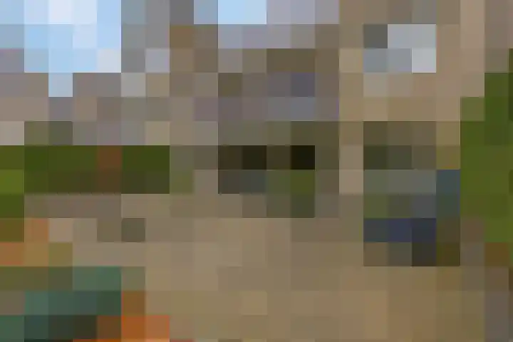 Wilgenlaan 20 Ede thumbnail 26