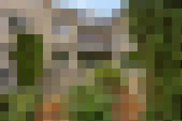 Wilgenlaan 20 Ede thumbnail 27
