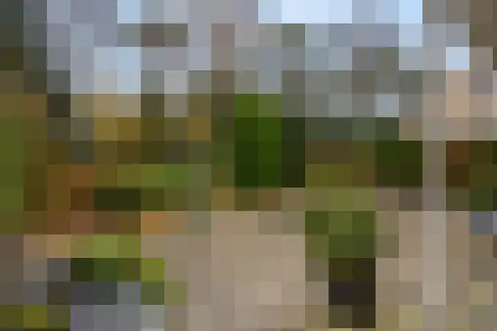 Wilgenlaan 20 Ede thumbnail 28