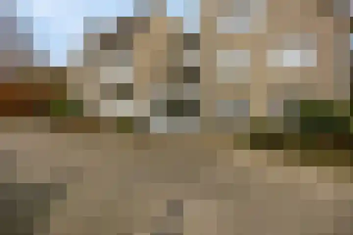 Wilgenlaan 20 Ede thumbnail 30