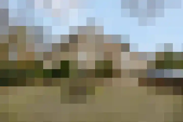 Wilgenlaan 20 Ede thumbnail 36