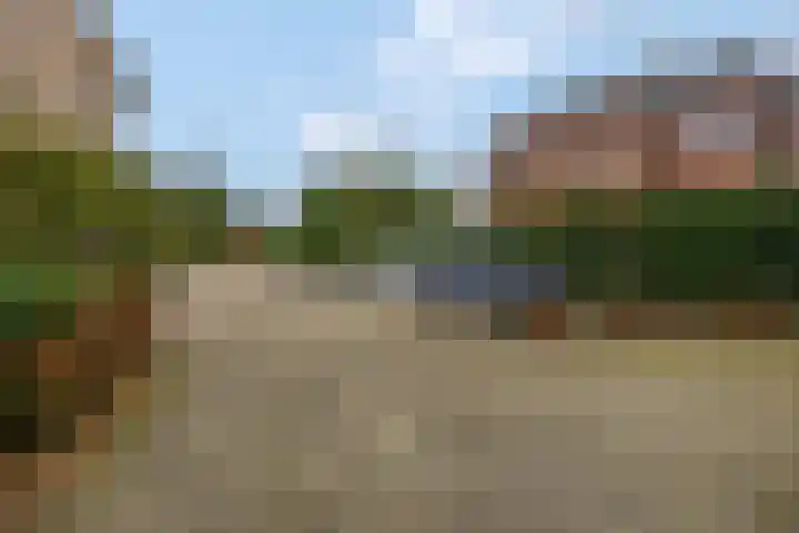 Wilgenlaan 20 Ede thumbnail 37