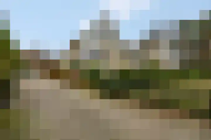 Wilgenlaan 20 Ede thumbnail 39