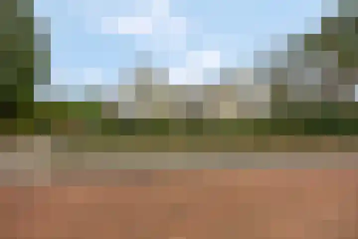 Wilgenlaan 20 Ede thumbnail 40