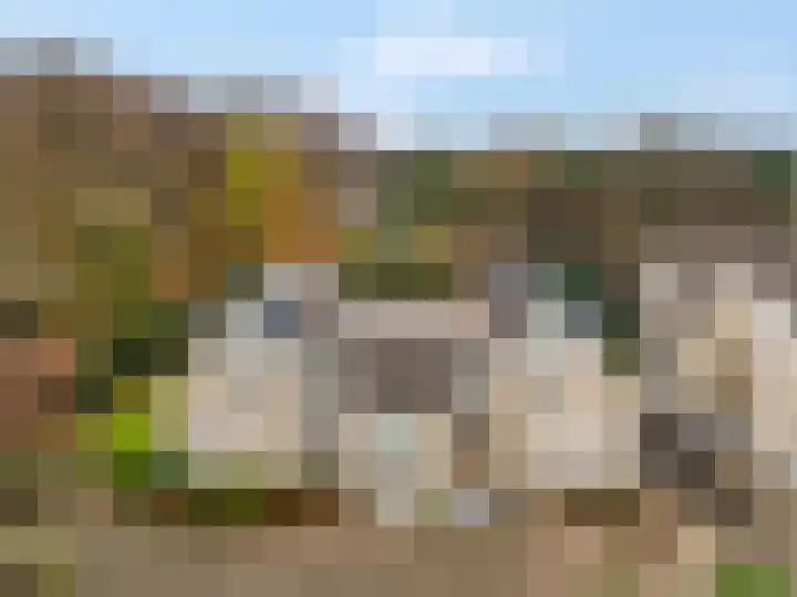 Wilgenlaan 20 Ede thumbnail 41