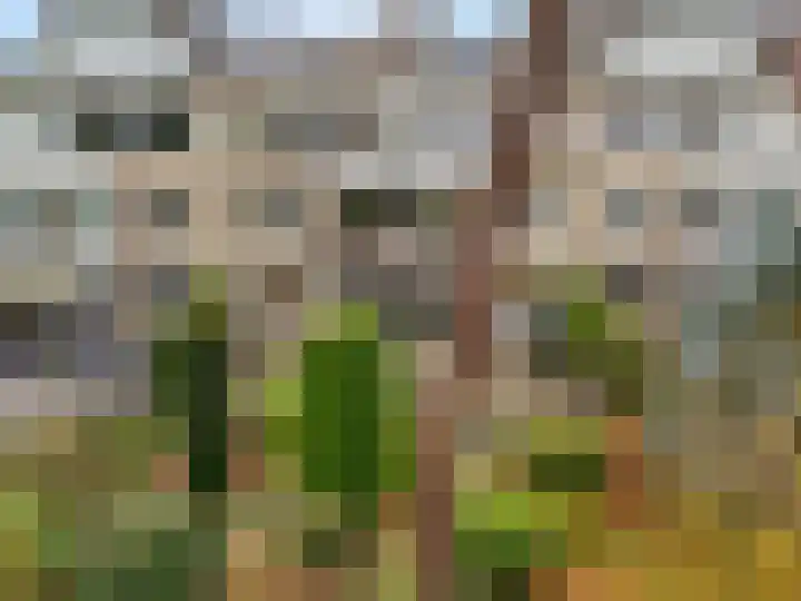 Wilgenlaan 20 Ede thumbnail 42