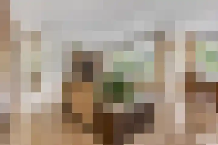 Wilgenlaan 20 Ede thumbnail 7