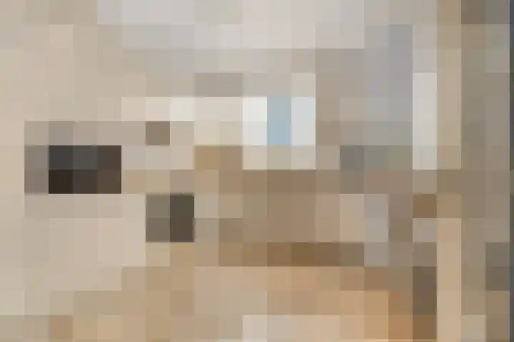 Wilgenlaan 20 Ede thumbnail 9