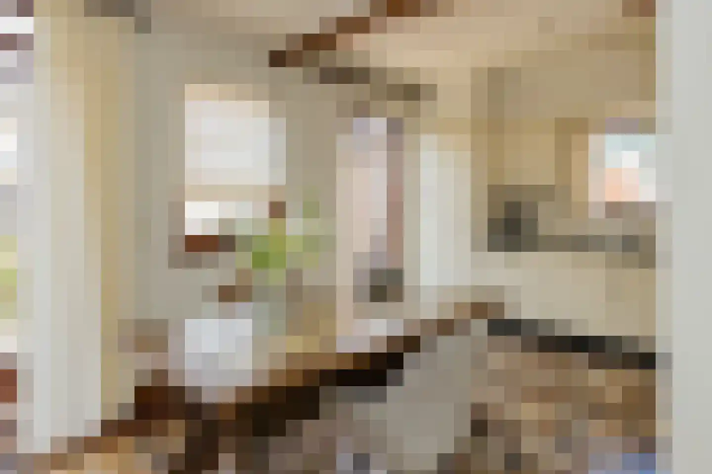Wilgenlaan 20 Sassenheim thumbnail 10