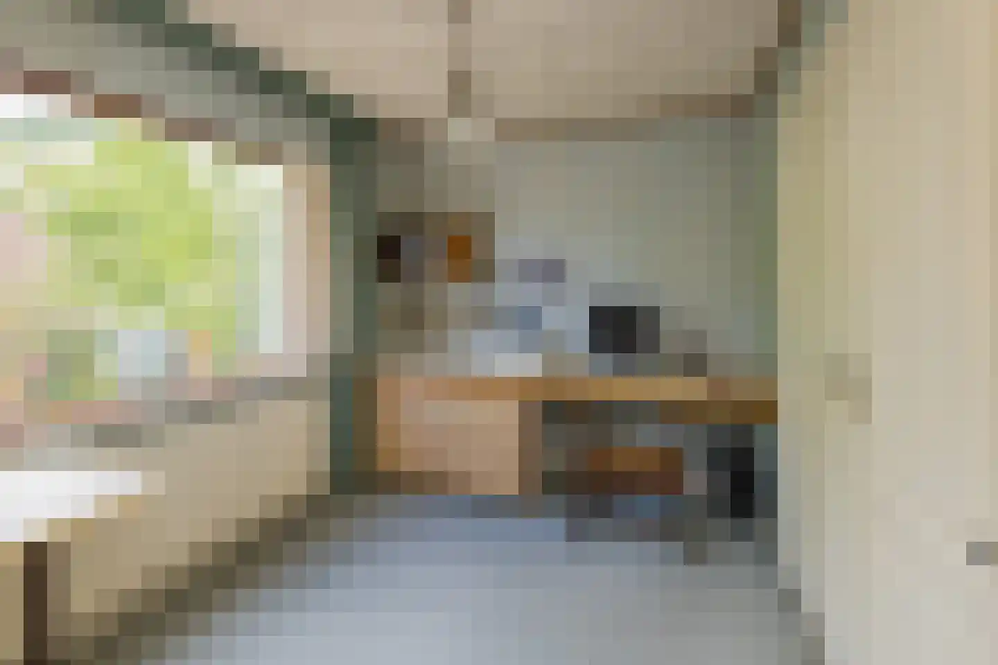 Wilgenlaan 20 Sassenheim thumbnail 22